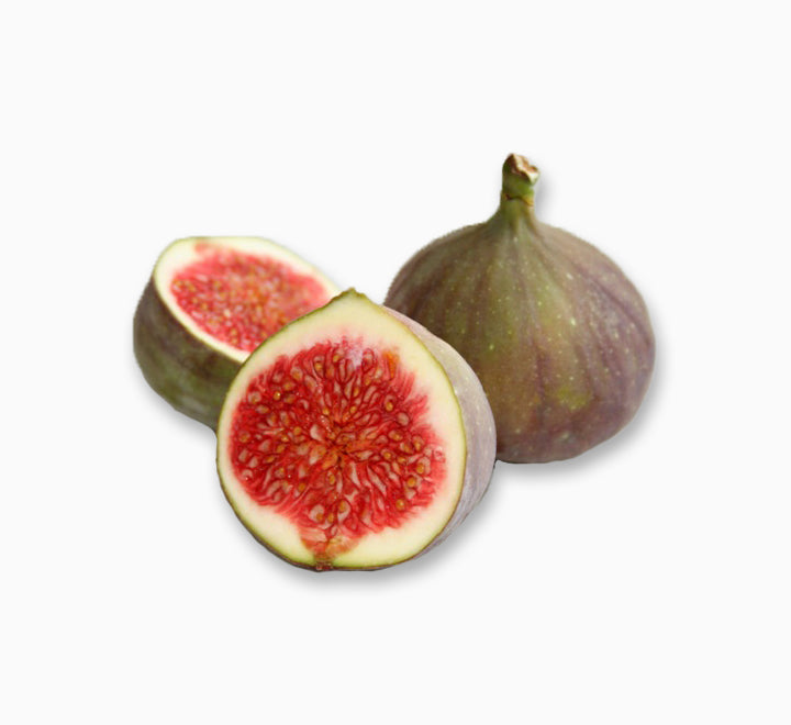 FICUS CARICA