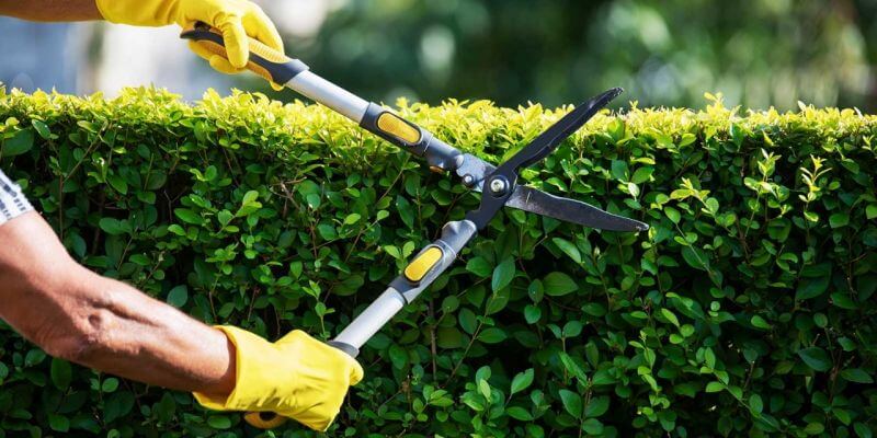 How to Choose the Right Garden Maintenance Service for Your Needs