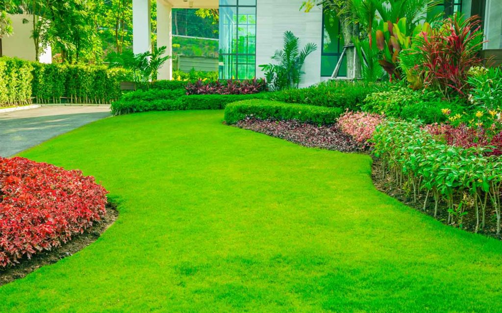 Welcome to Royal Plantscape Landscape & Gardening works L.L.C – Your One-Stop Destination for All Your Plant and Grass Installation Needs in Dubai