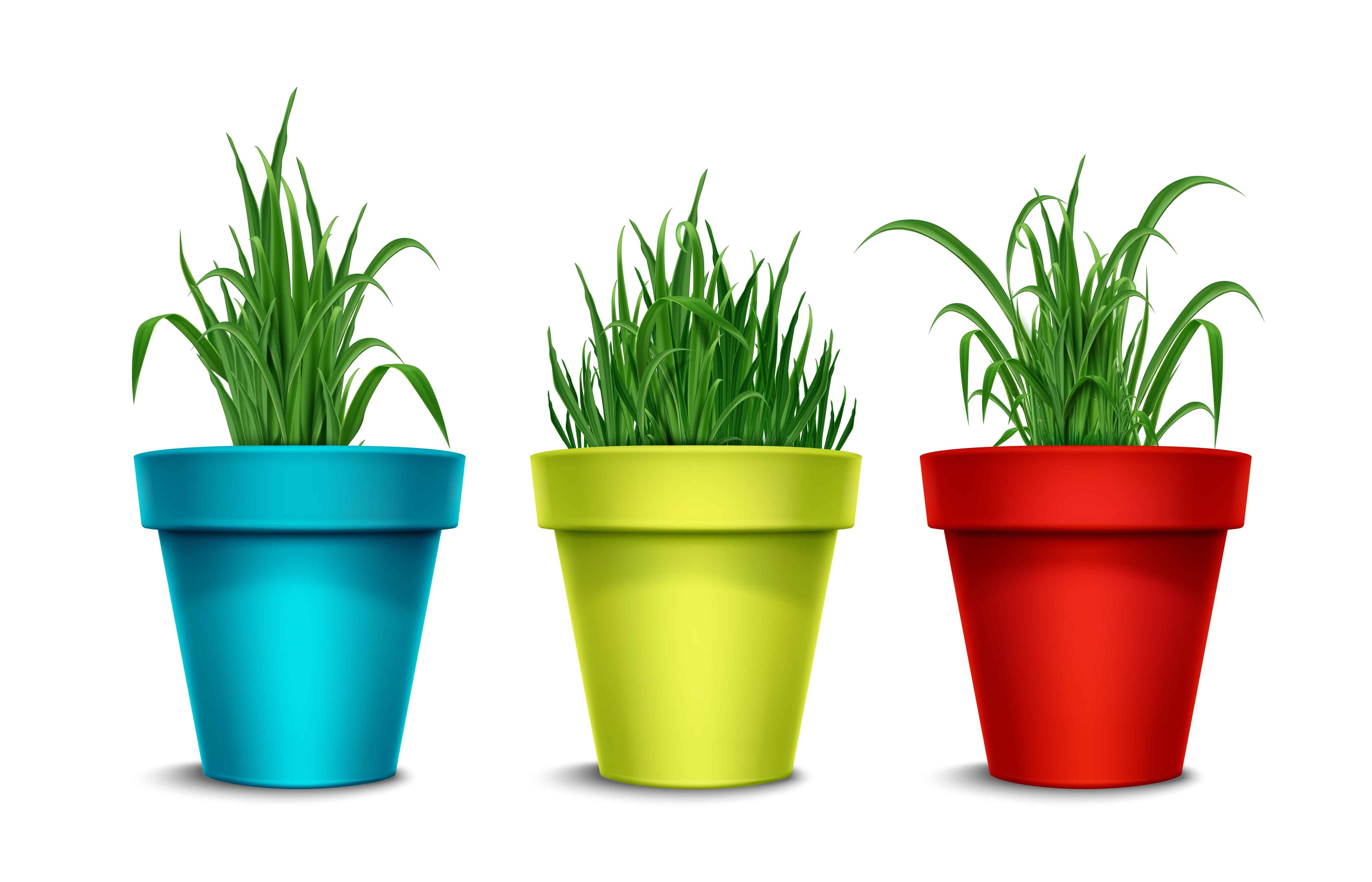 Plant Pots & Planters Online | Buy Fiber Garden pots