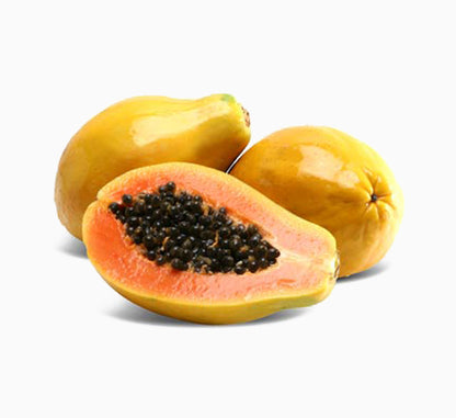 Carica papaya or Papaya Tree