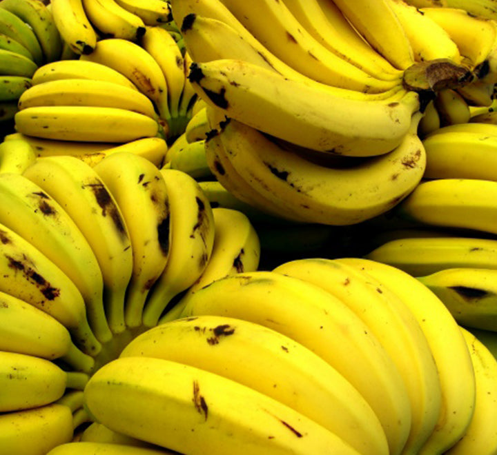 Musa paradisiaca Or Banana Tree