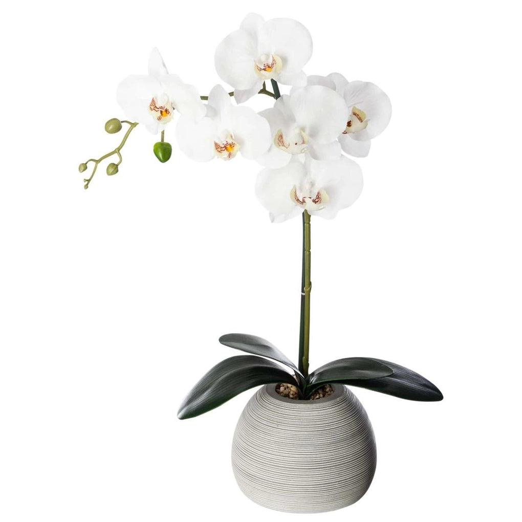 Artificial Orchid Plant W/Cement Pot (34 x 16 x 52.5 cm)
