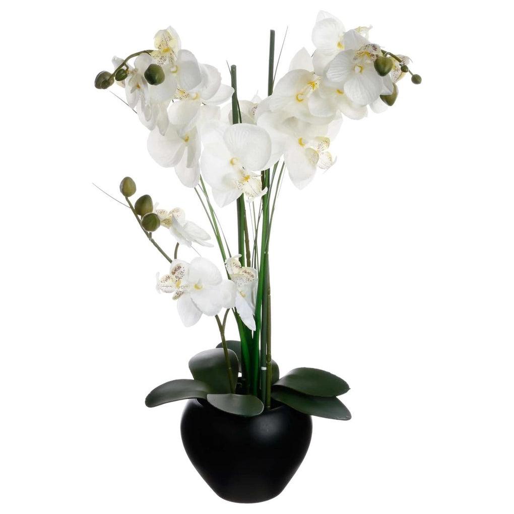 Artificial Orchid Plant W/Ceramic Pot (38 x 38 x 53 cm)
