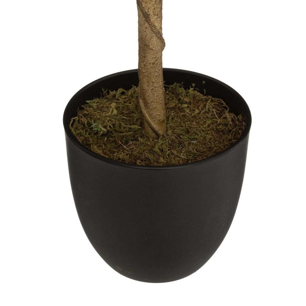 Artificial Lemon Tree W/Pot (43 x 43 x 73 cm)