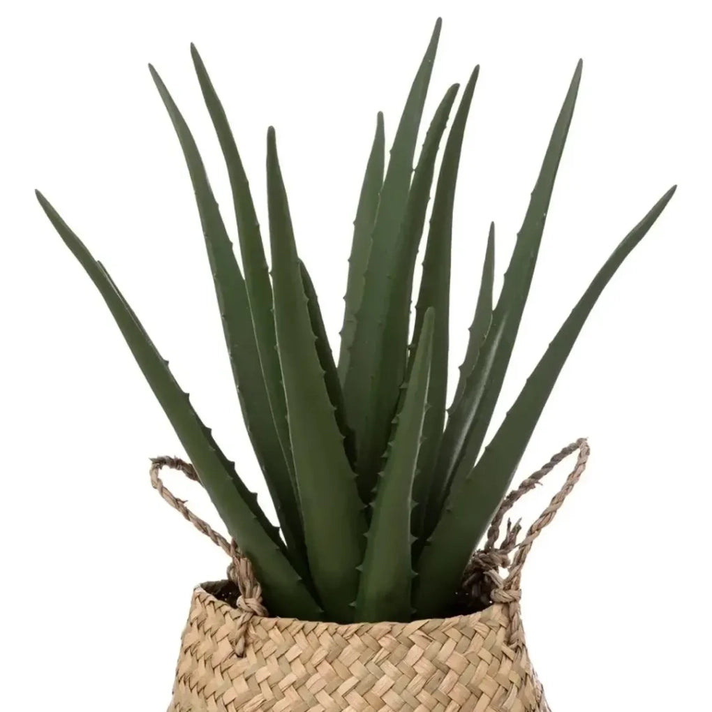 Artificial Aloe Vera Plant W/Weaved Planter (24 x 37 cm)
