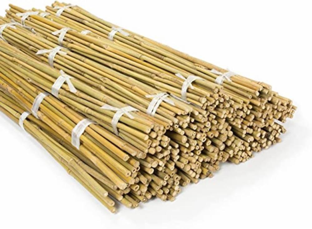 BAMBOO POLES PLANT STAKES