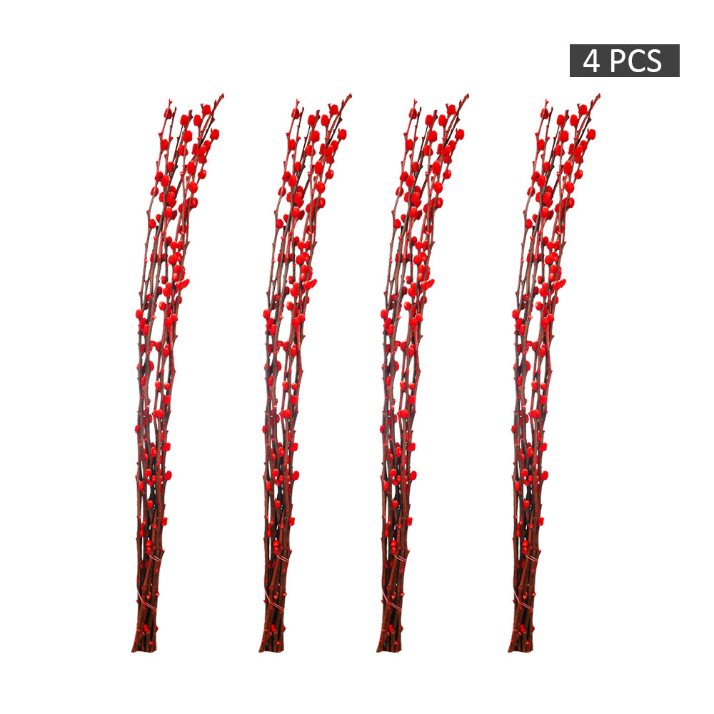 Red Silver Willow Dried Flower