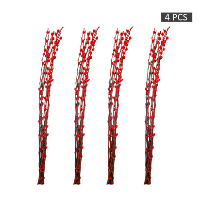 Red Silver Willow Dried Flower