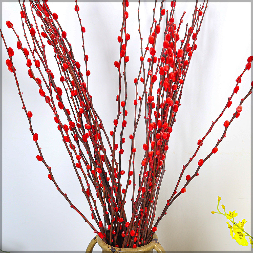 Red Silver Willow Dried Flower