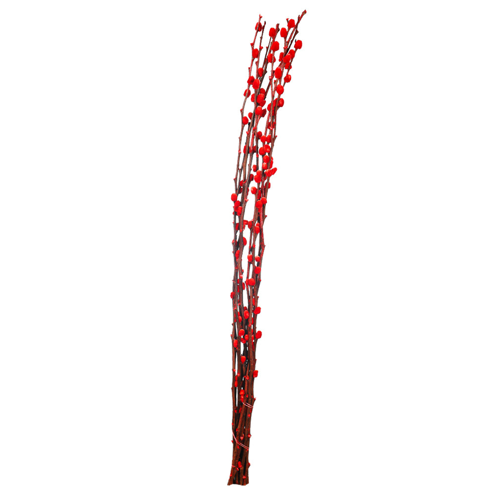 Red Silver Willow Dried Flower