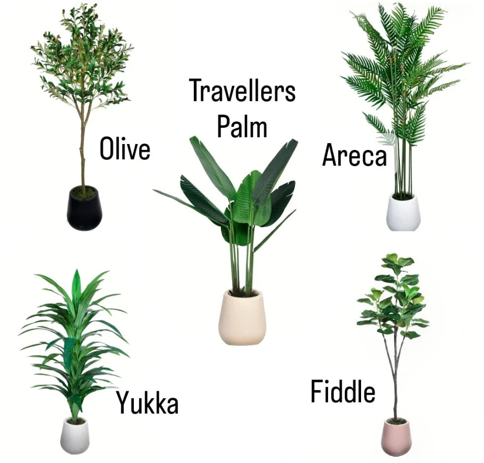 Artificial Plants Bundle of 5pcs Dh 2190