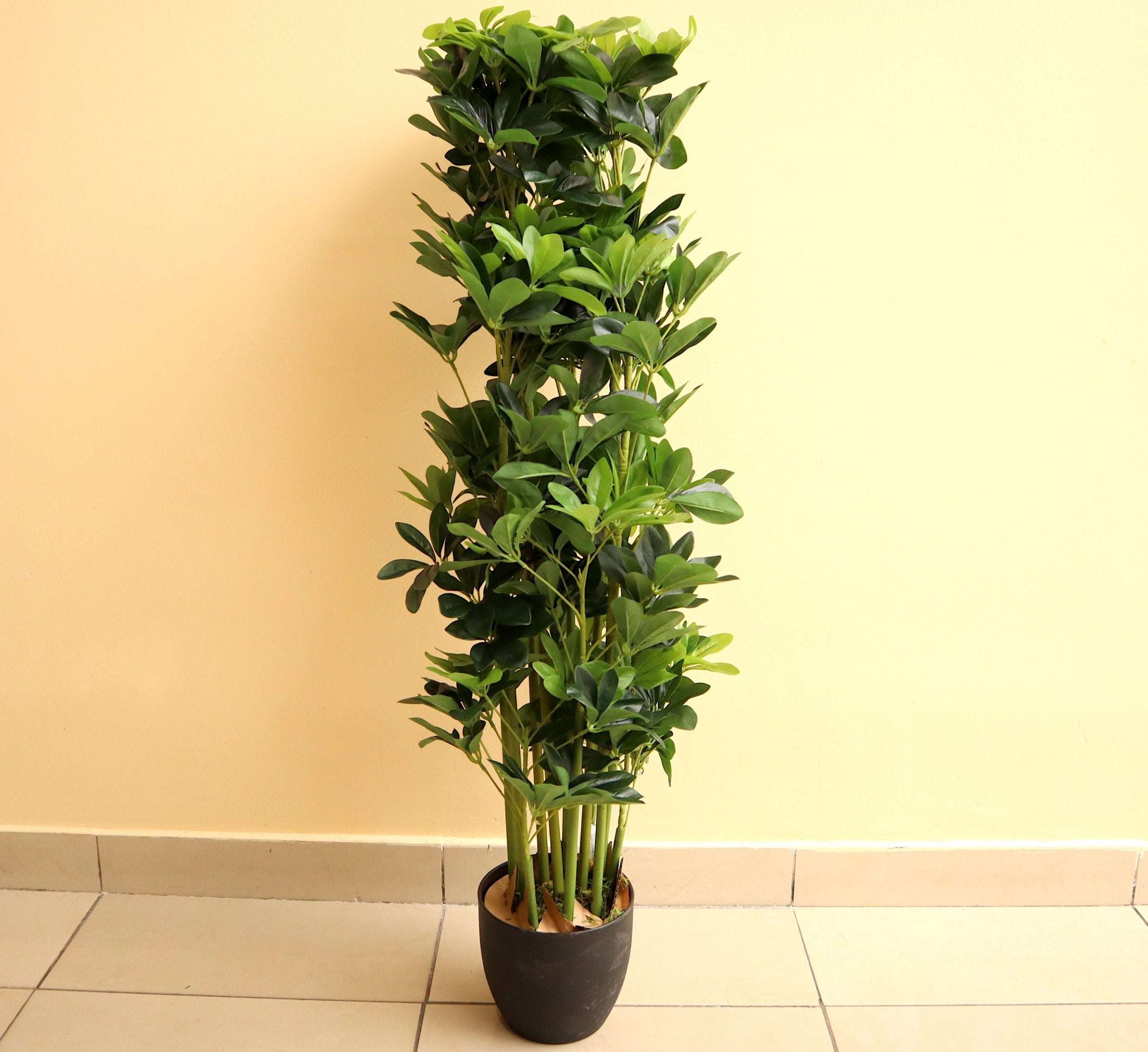 Artificial Schefflera arboricola “Green” 120cm – Royal Plantscape