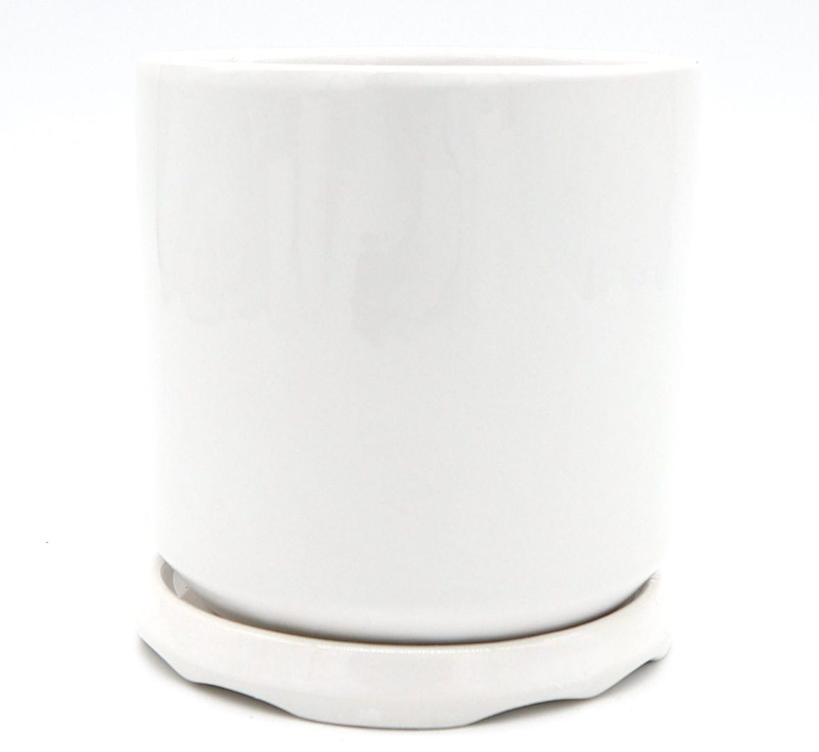 Indoor White Ceramic Pot with attached Saucer