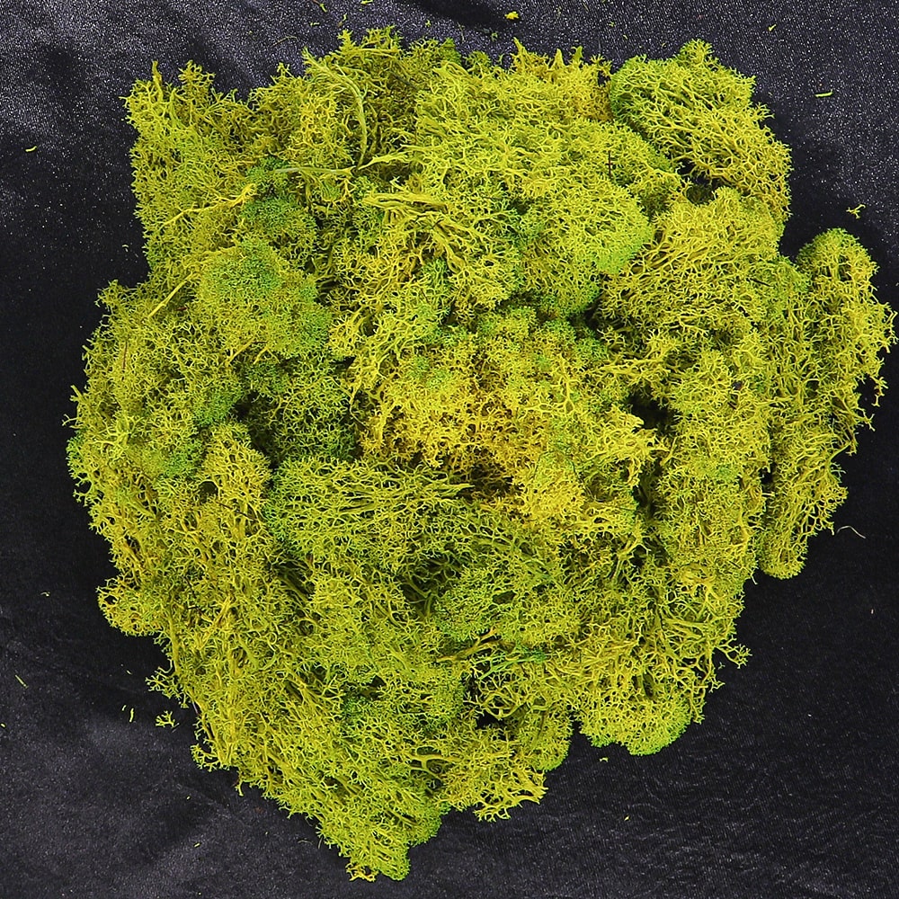 Natural Preserved Fresh Moss