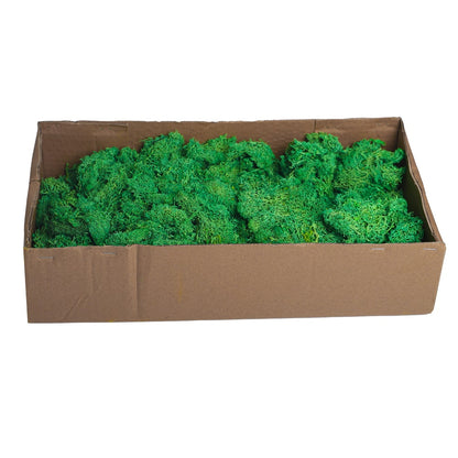 Preserved Fresh Moss 1 Box