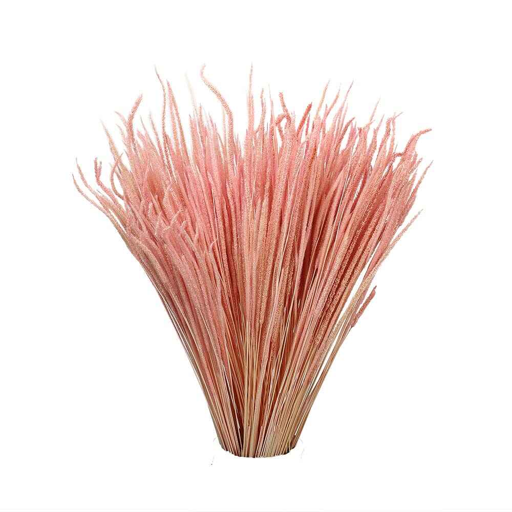 Natural Dried Flower Pink Golden Grass UAE -Goldgrass-001