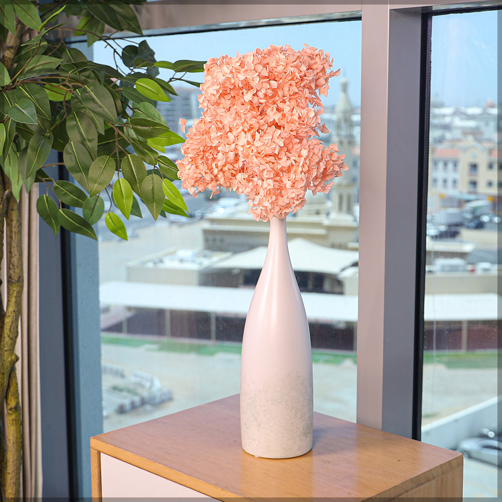 Natural Dried Preserve Hydrangea Flower