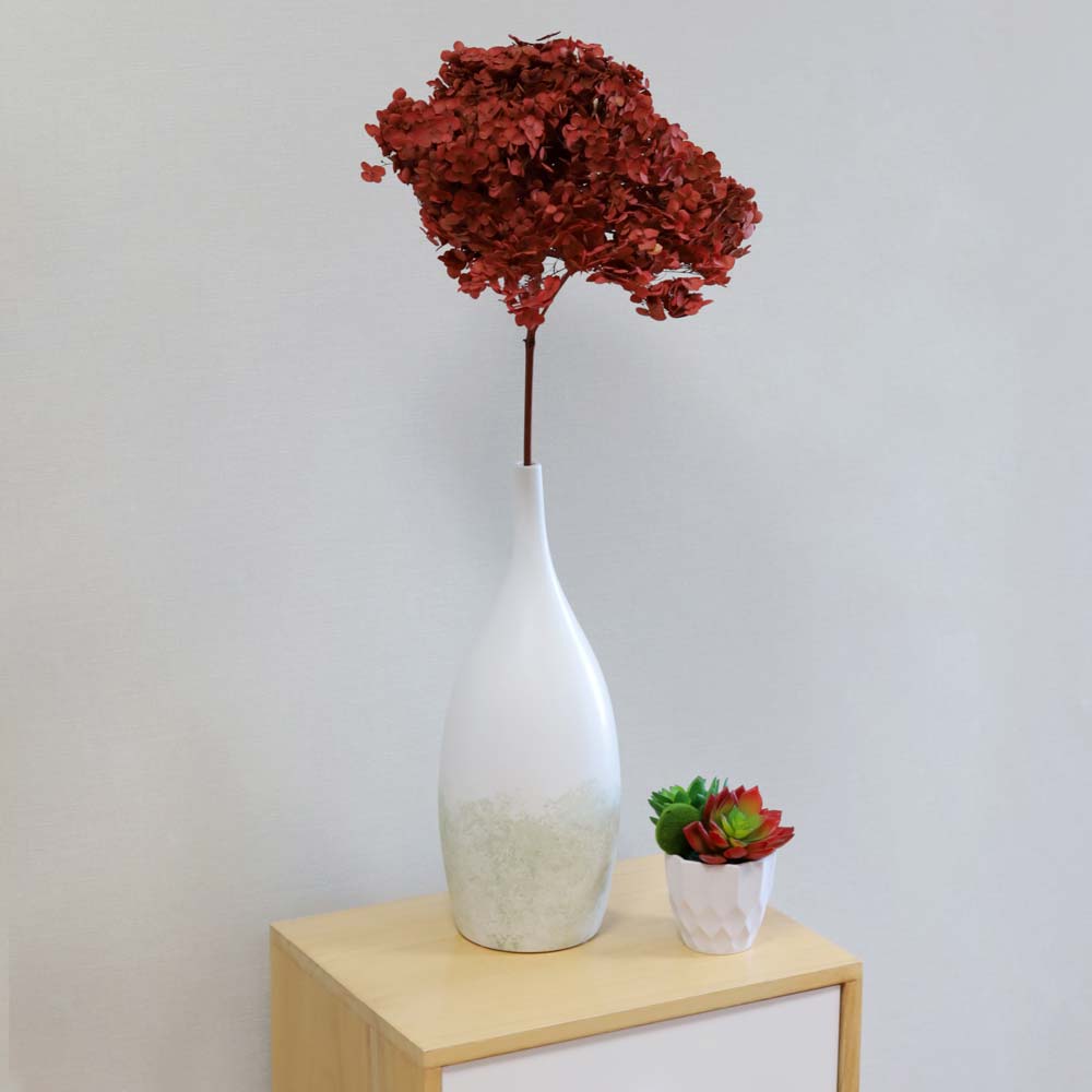 Natural Dried Preserve Hydrangea Flower