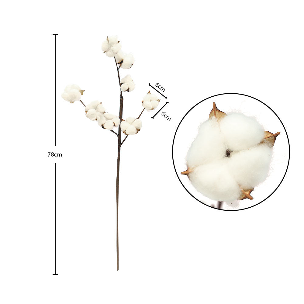 Dried Cotton Stems White-FCotton-801